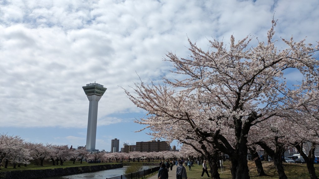 Sakura reflection in Goryokaku moat.