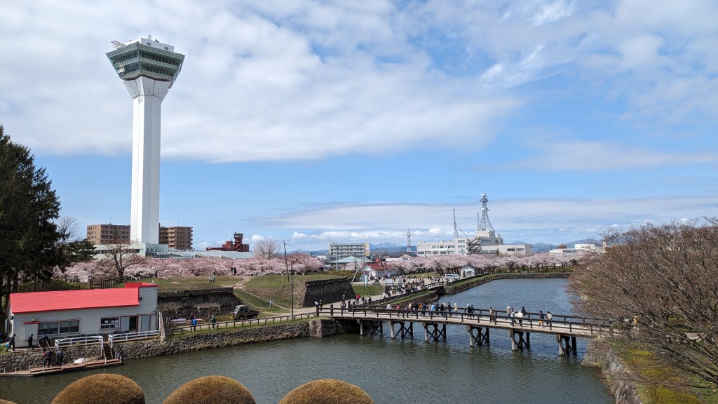 Goryokaku Tower and bridge with cherry blossoms.