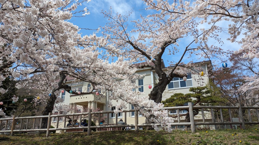 Historic western-style building seen through cherry blossom branches in Hakodate Park.
