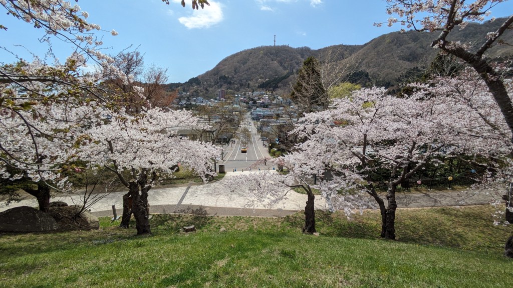 View of Hakodate city streets seen from a slope in Hakodate Park.